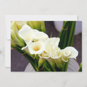 convite lírio calla