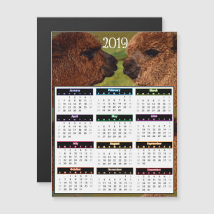 Convite Mini calendário de 2019 alpacas engraçadas