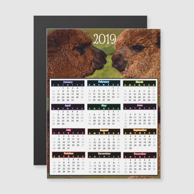 Convite Mini calendário de 2019 alpacas engraçadas (Frente/Verso)