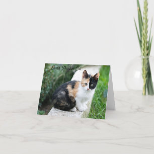 Convite Ópera - Fantasma