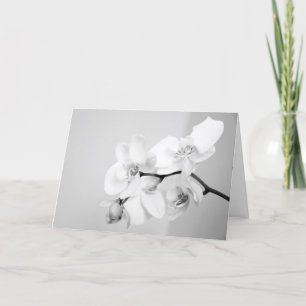 Convite Orquídea