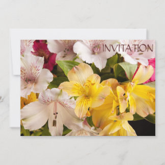 Convite para Alstroemeria (Lily)