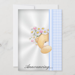 Convite para apresentação de bebê
