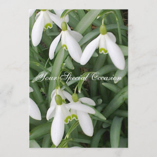 Convite para Botas de Neve