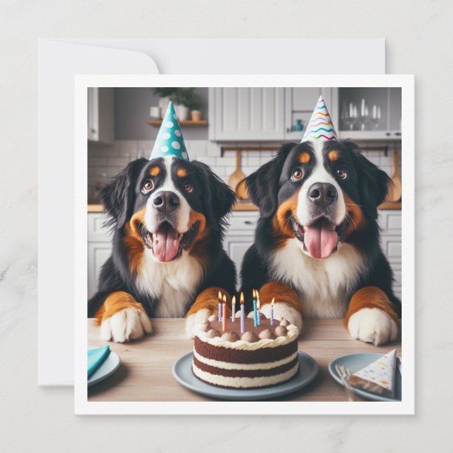 Convite para cães da Montanha Bernese, aniversário (Frente)