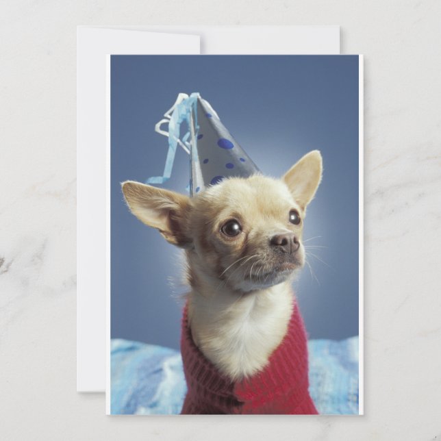 Convite para Cães de Festa (Frente)