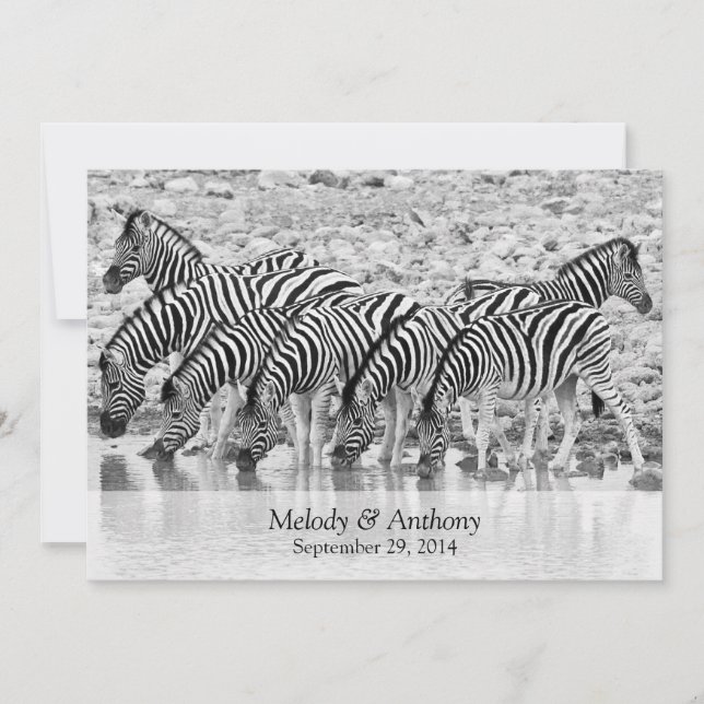 Convite para casamento africano Safari Zebra (Frente)