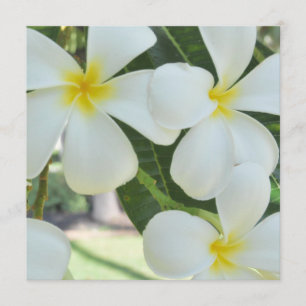 Convite Para Casamento De Plumeria Havaiana