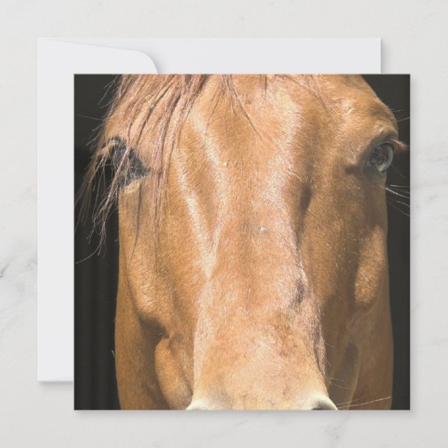 Convite para Cavalo de Castanha (Frente)