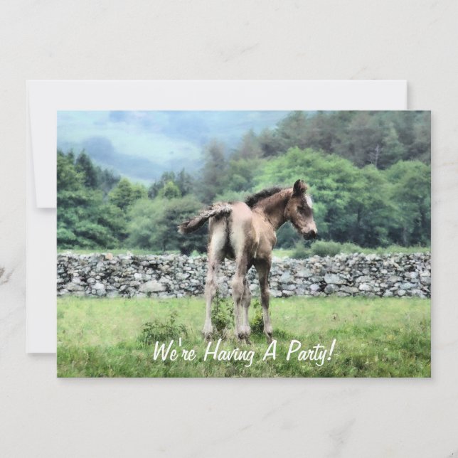 CONVITE PARA CAVALOS (Frente)