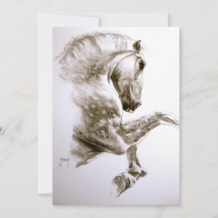 Convite para Cavalos de Criação