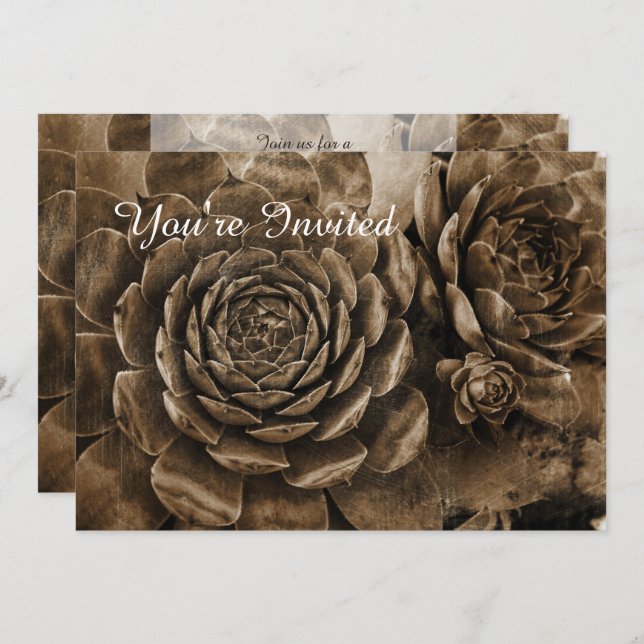 Convite para Chás de fraldas Sucultos em Galinhas  (Frente/Verso)