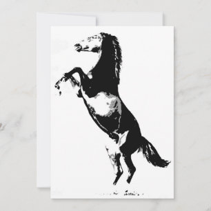 Convite para Criação de Cavalos