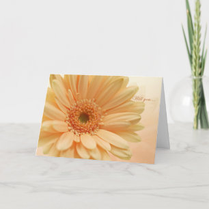 Convite para dama de honra júnior, Gerbera (margar