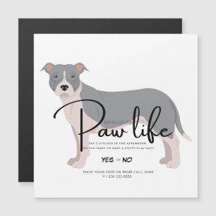 Convite para dia de brincadeira do pit bull