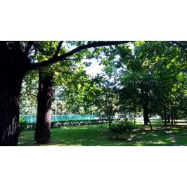 convite para dsf do wer