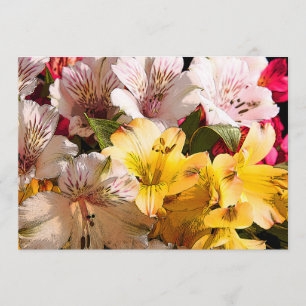 Convite para Flores de Alstroemeria