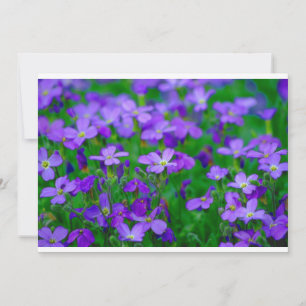 Convite para Flores Violetas