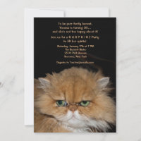 Convite para gatos rabugentos