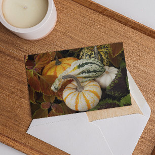 Convite para Janto de Ação de Graças para Colheita