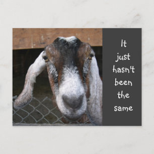 Convite para o Grupo Juventude