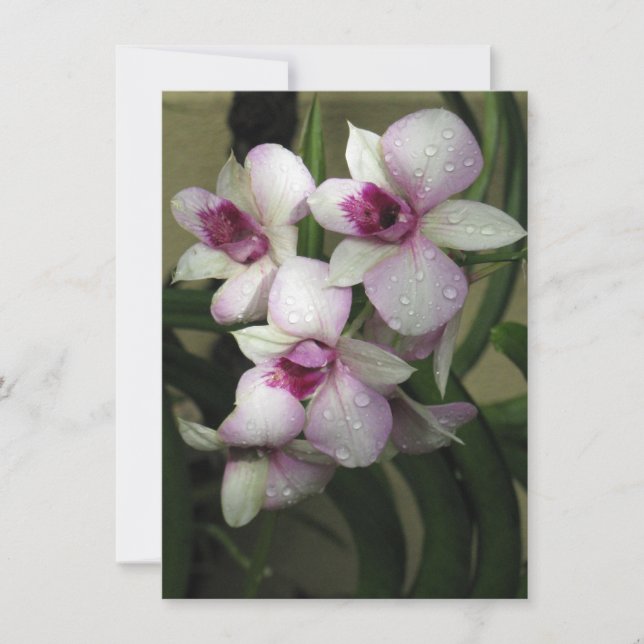 Convite para Orchidezes, personalizar (Frente)