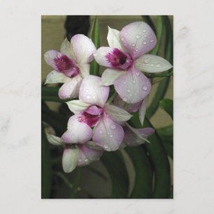 Convite para Orchidezes, personalizar