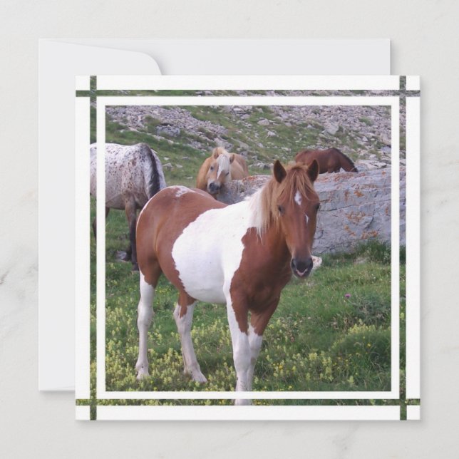 Convite para Paint Horse (Frente)