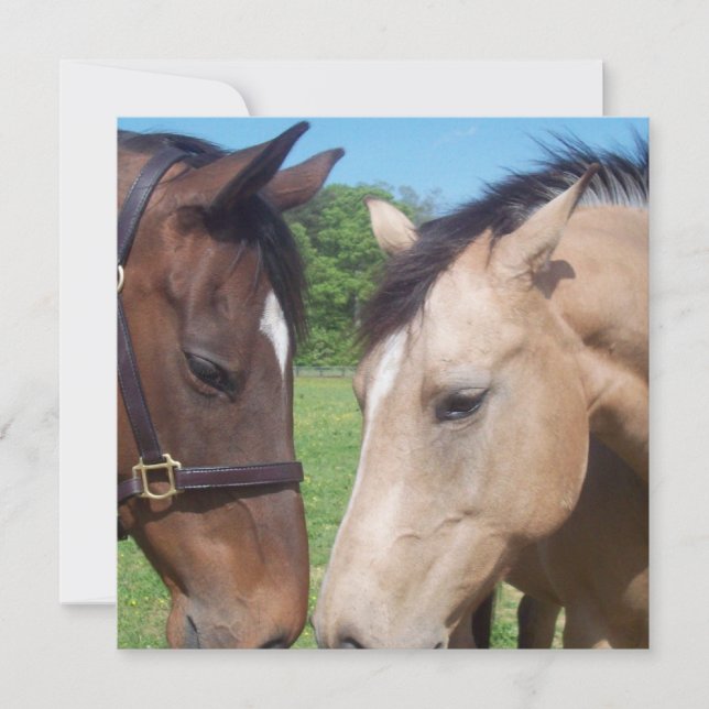 Convite para Romance de Cavalo (Frente)