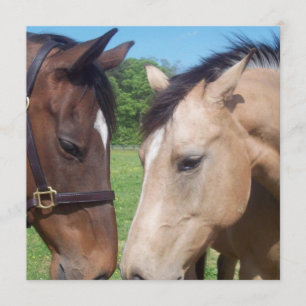 Convite para Romance de Cavalo