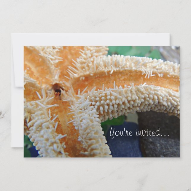 Convite para Starfish & Sea Glass (Frente)