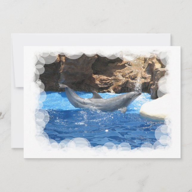 Convite Para Truques De Golfinhos (Frente)