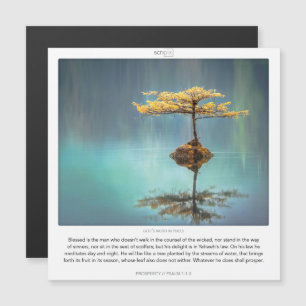 Convite Placa magnética Psalm 1:1-3 PROSPERITY SCRIPIX