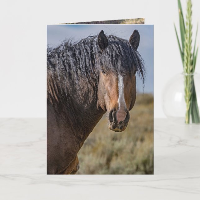 Convite Portrait of Bello Greeting Card (Frente)