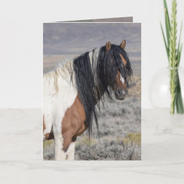 Convite Portrait of Zephyr Wild Horse Greeting Card