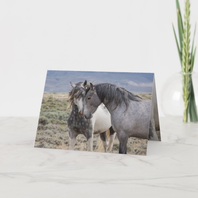 Convite Poseidon and His Mare Greeting Card (Frente)