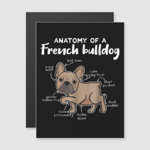 Convite Presente Frenchie Presente Anatomia de um Bulldo