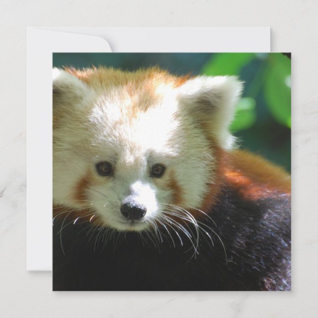 Convite quadrado - personalizado (Frente)