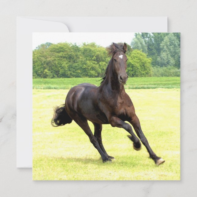 Convite Quadrado - Personalizado (Frente)