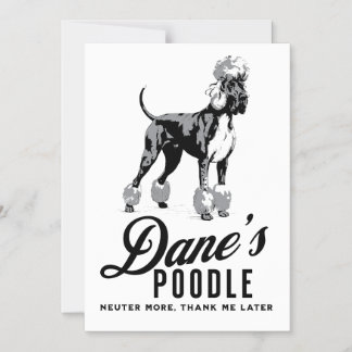 Convite Raça mista de Poodle Great Dane: castração mais! 