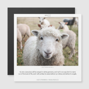 Convite Revelação 3:5 GODS PROMETE A placa de ímã SCRIPIX