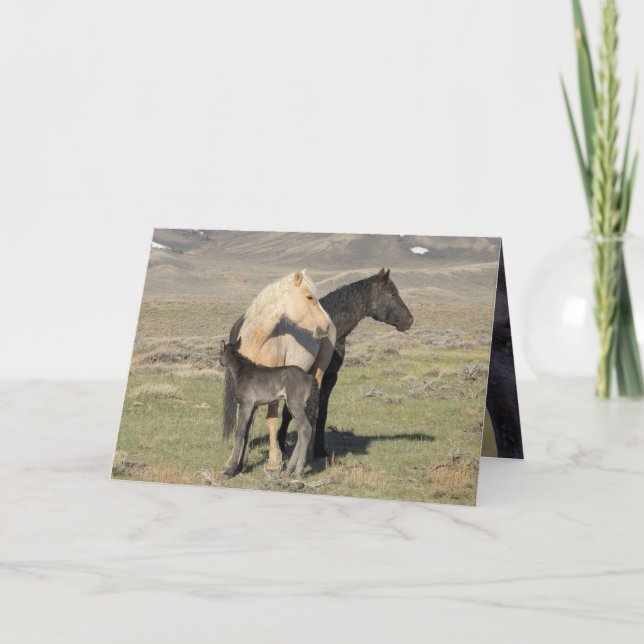 Convite Rocket's Family Greeting Card (Frente)