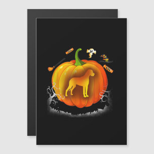 Convite rotiweiller cão fantasia de abóbora halloween