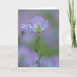 Convite RSPV Primrose Roxa