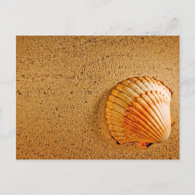 Convite RSVP Tropical de Casamento de Praia (Frente)