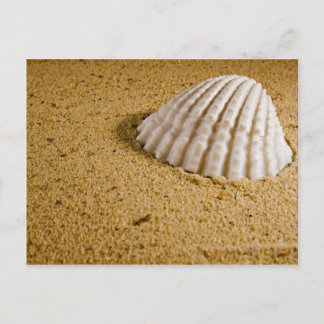 Convite RSVP Tropical de Casamento de Praia