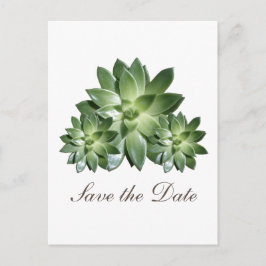 Convite Simples de Suculentas para Salvar a Data