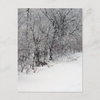 Convite Snowy Woods