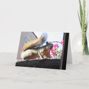 Convite Squirrel World Housewarming Card