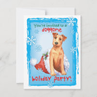 Convite Terrier de Natal na Irlanda